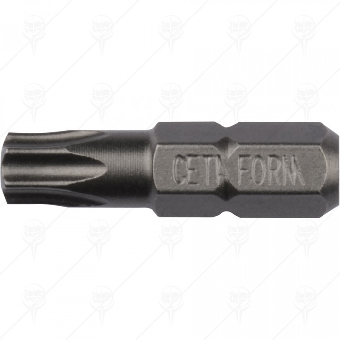 TORX TAMPER RESISTANT BIT T40X25MM CF