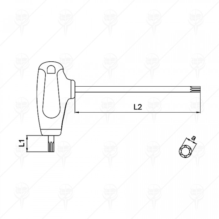 ШЕСТОГРАМ С ОТВОР TORX Т-ОБР C-PLUS CF