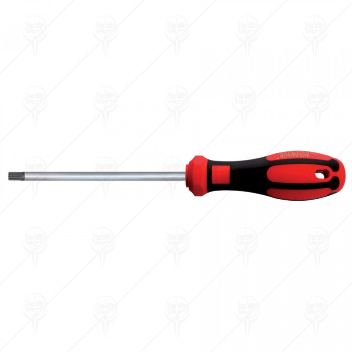 TAMPER RESISTANT TORX SCREWDRIVER