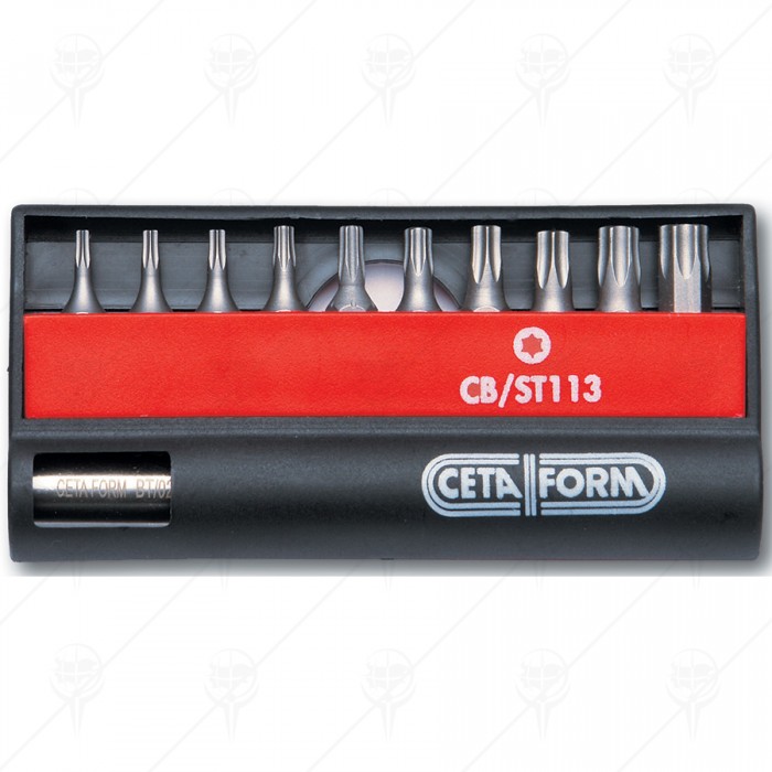 11 PIECE TORX PROFESSIONAL BITS SET CF