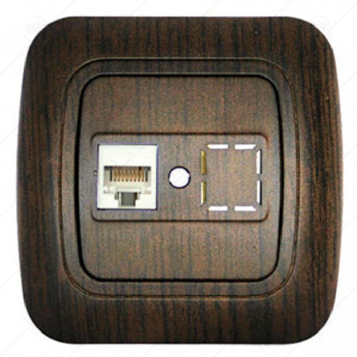 DATA SOCKET WALNUT GOKKU