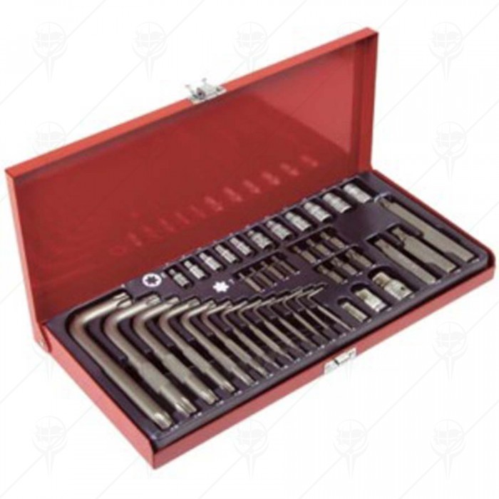 CUPLAJE SET 40BUC TORX TOPEX