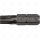 TORX PLUS BIT