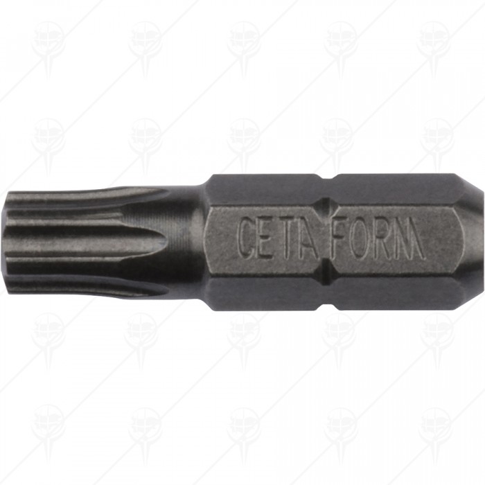 TORX PLUS BIT