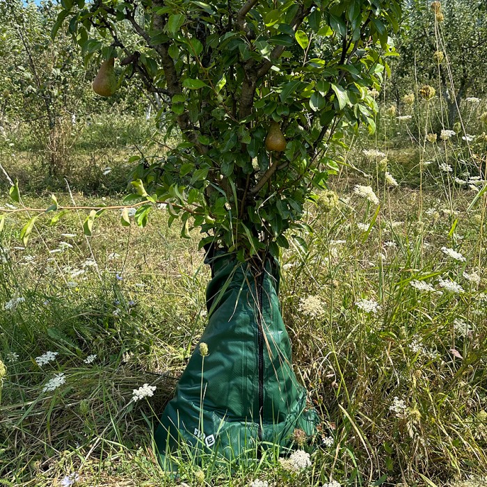 ТОРБА ЗА БАВНО ПОЛИВАНЕ HERLY