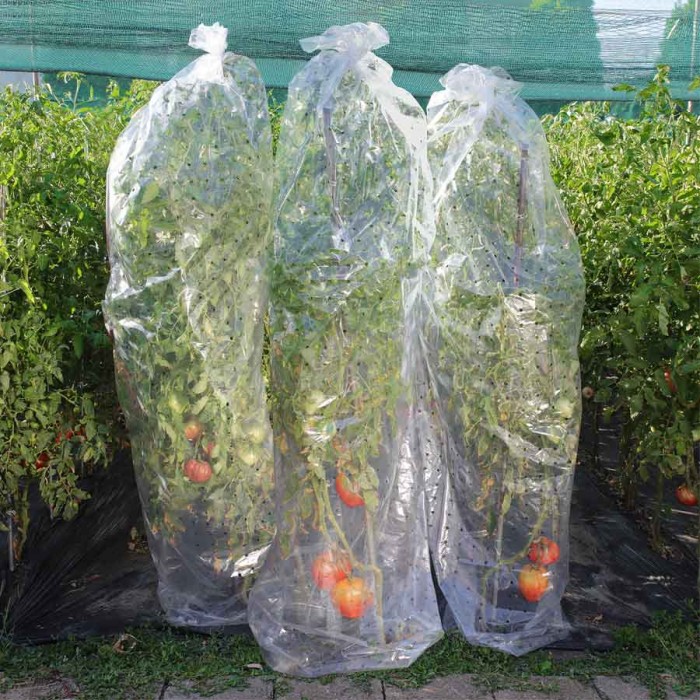 PERFORED NYLON TOMATO COVER