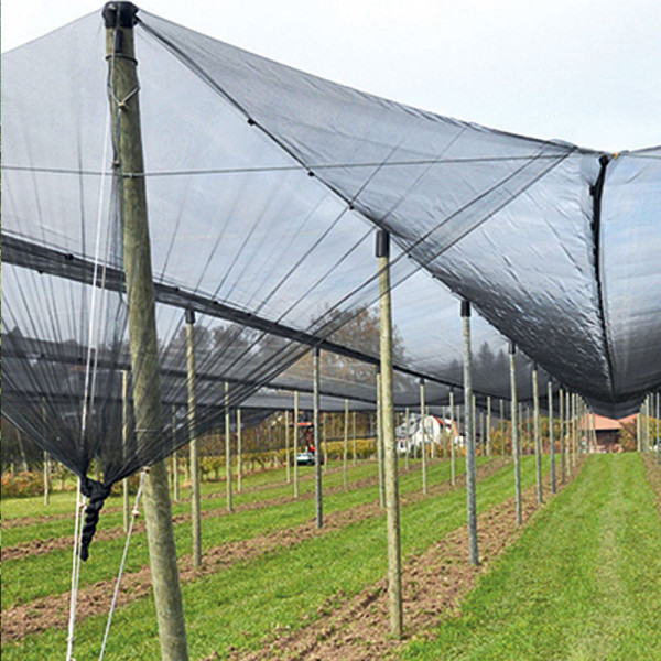 MESH, COVERS AND TARPAULIN