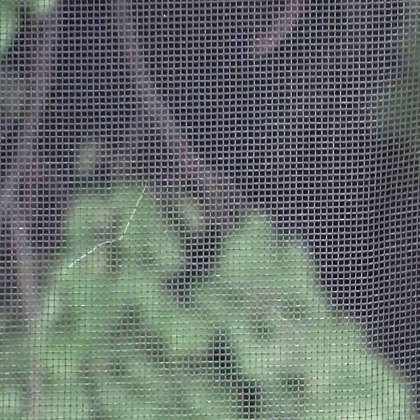 WINDOW NETS