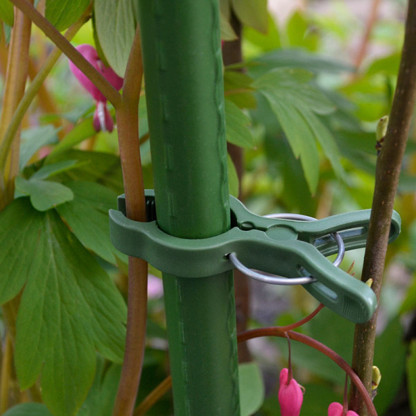 CAPTURING AND ATTACHING PLANTS